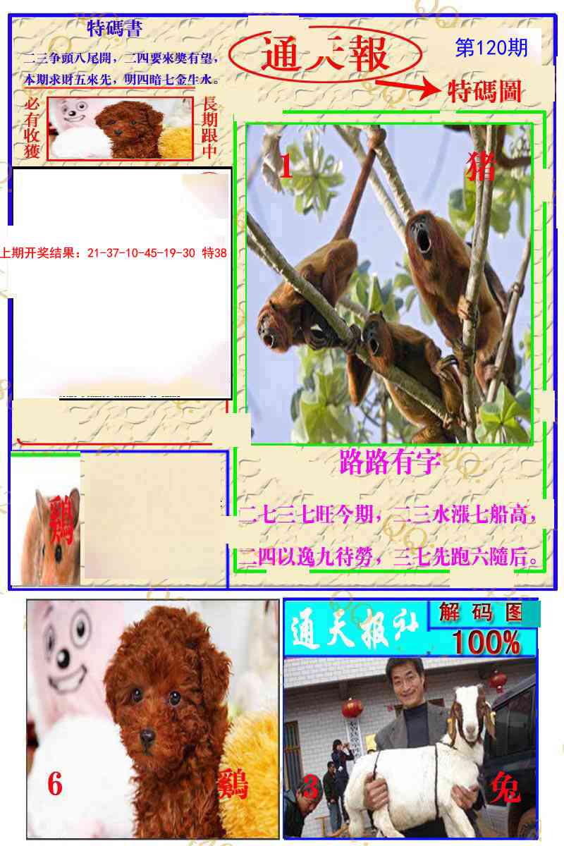120期通天特解图[图]