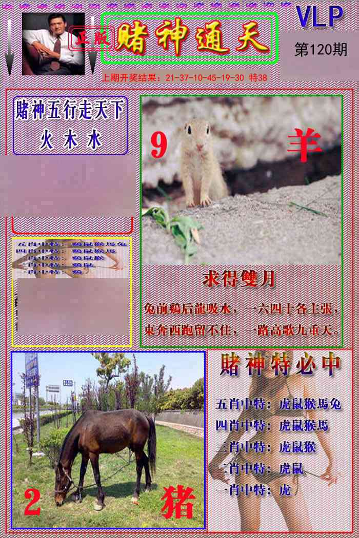 120期赌神通天报[图]