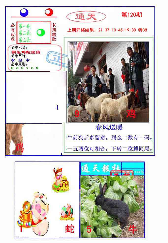 120期通天杀波图2[图]