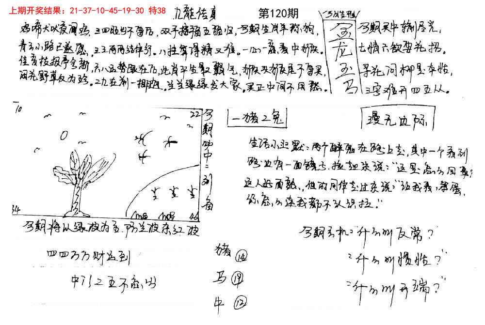 120期手写九龙内幕[图]