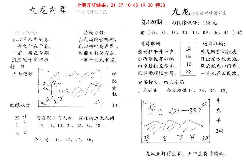 120期九龙内幕[图]