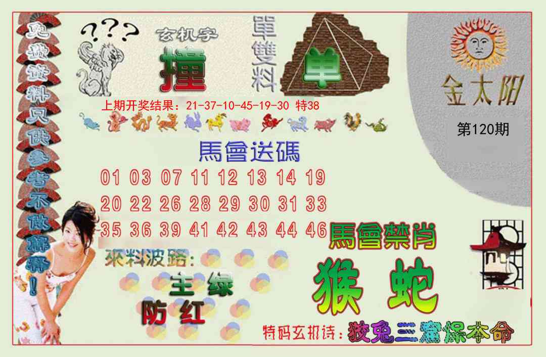 120期金太阳[图]