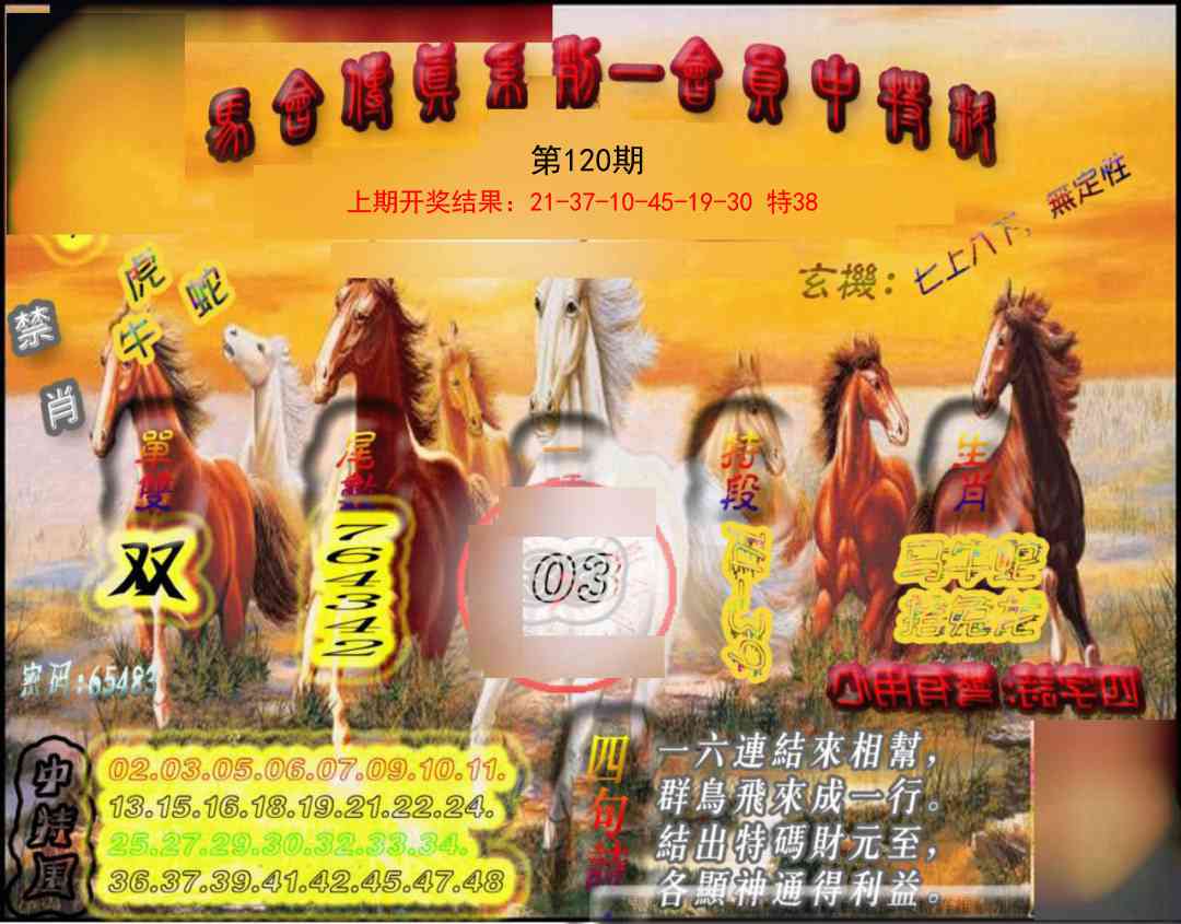 120期马会传真-会员报[图]