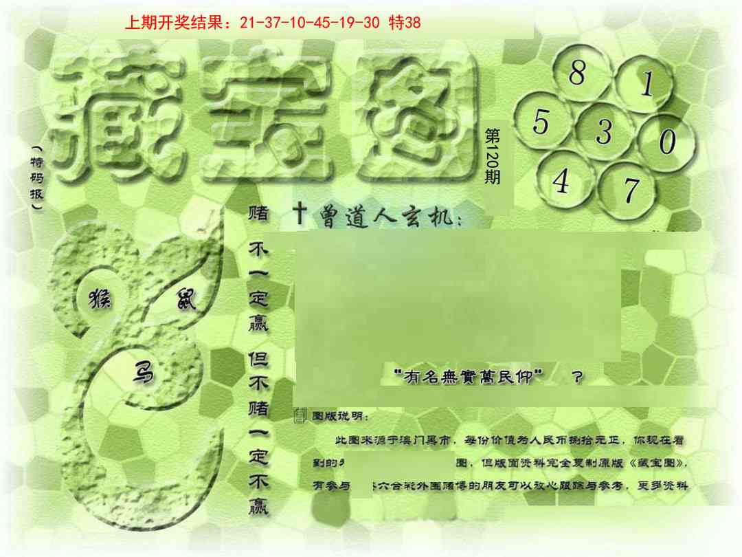 120期假新藏宝图[图]