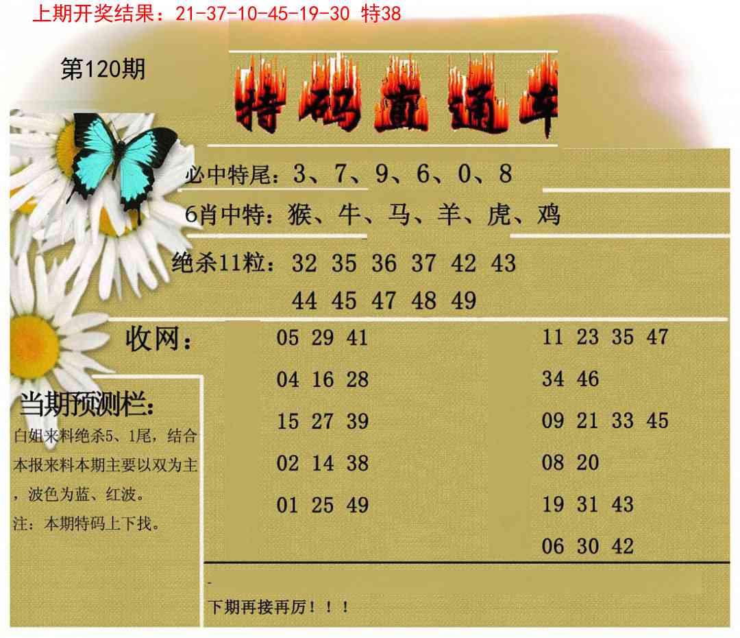 120期特码直通车[图]