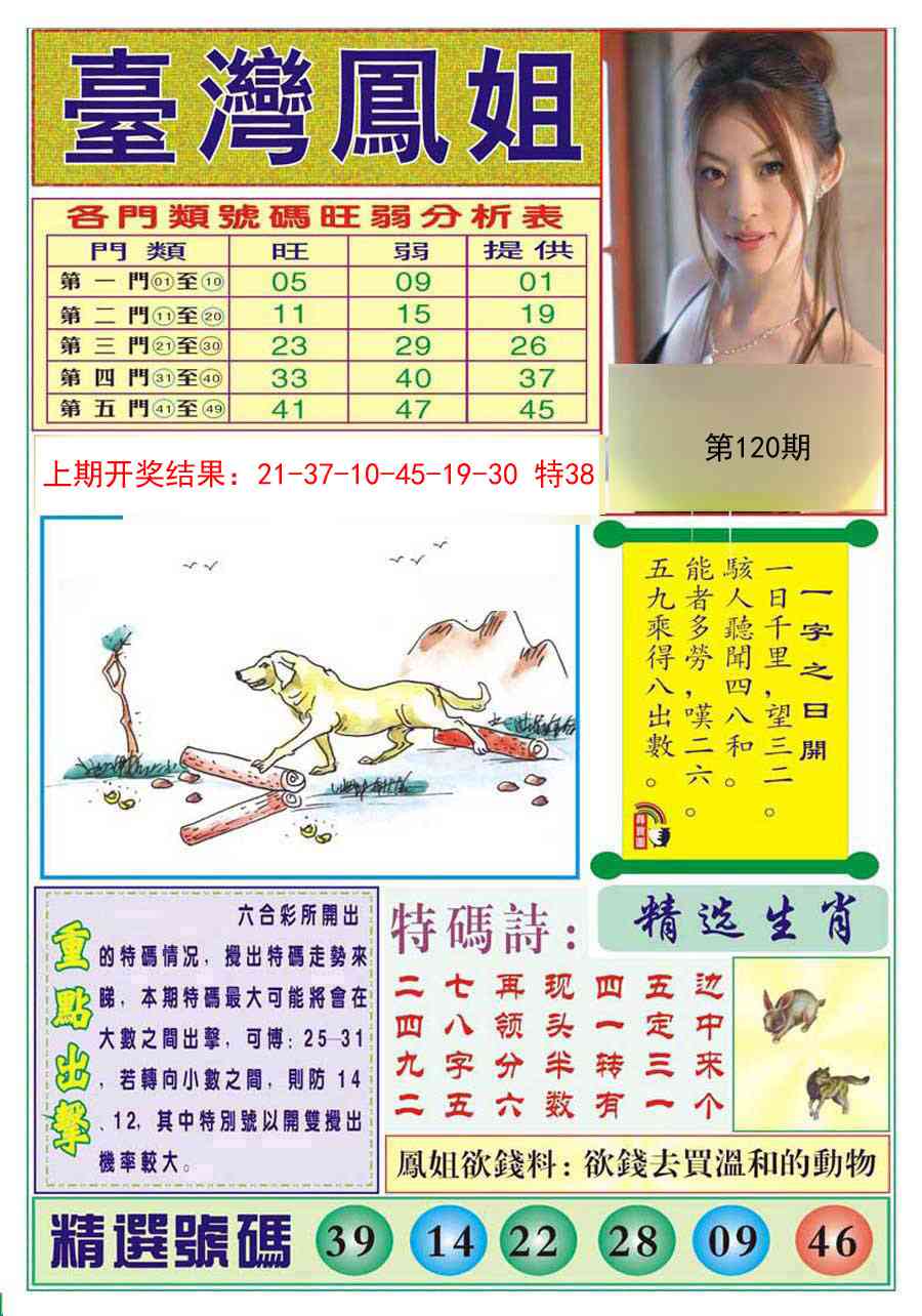 120期台湾凤姐[图]