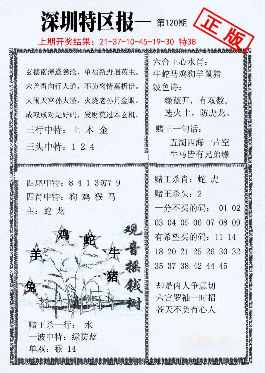 120期深圳特区报A[图]