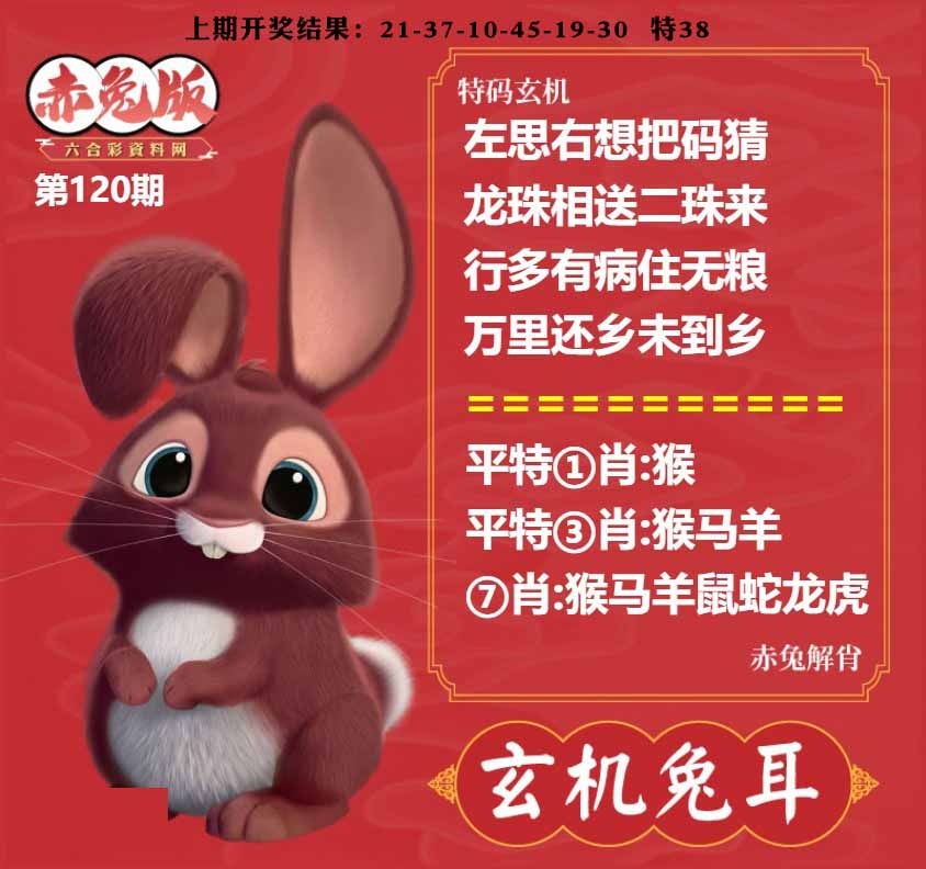 120期玄机兔耳[图]