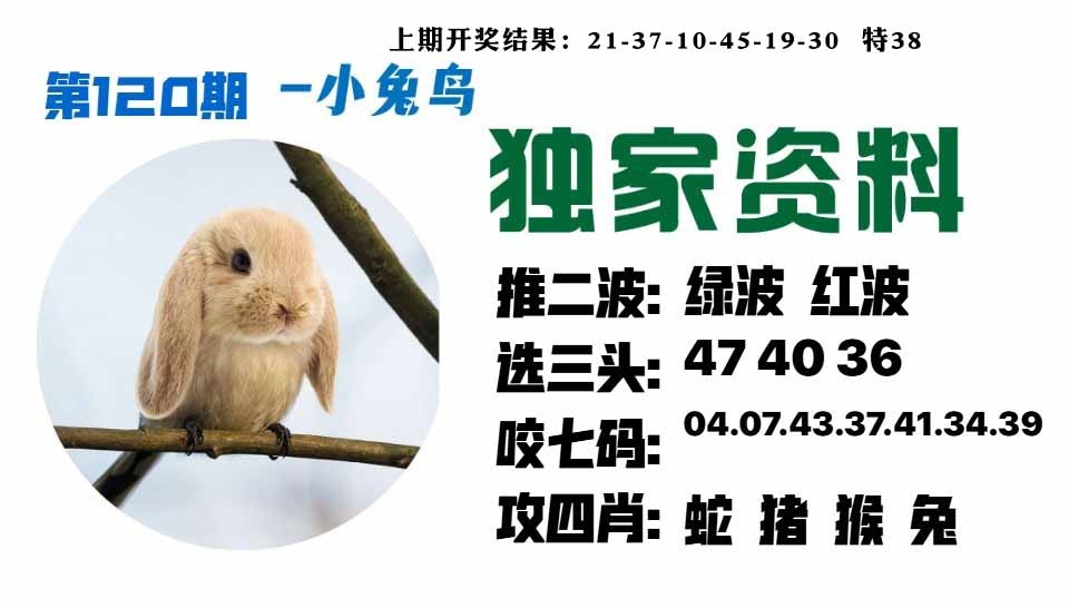 120期小兔鸟[图]