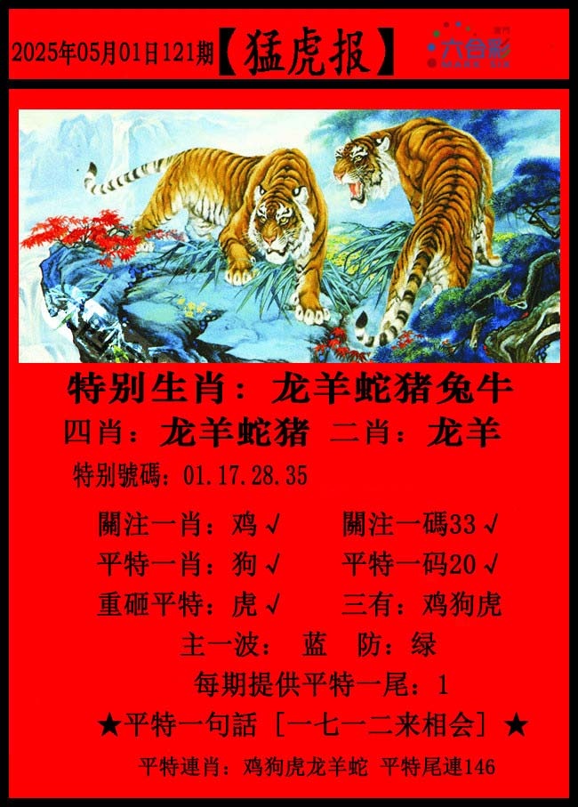 121期猛虎报[图]
