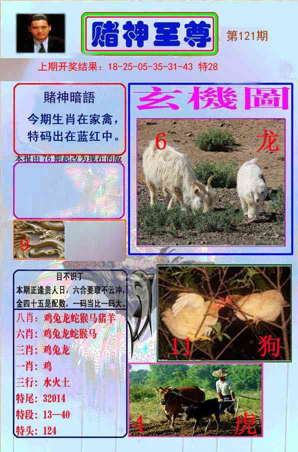 121期赌神至尊[图]