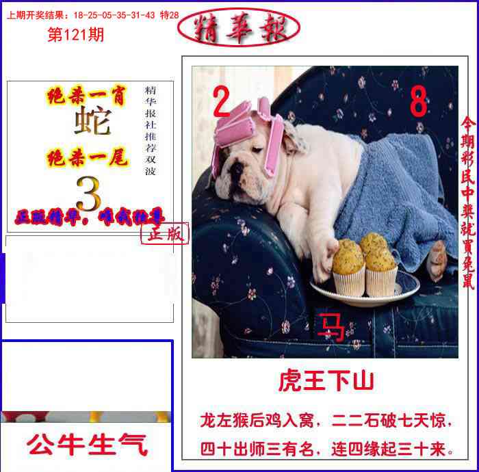 121期新精华报报[图]