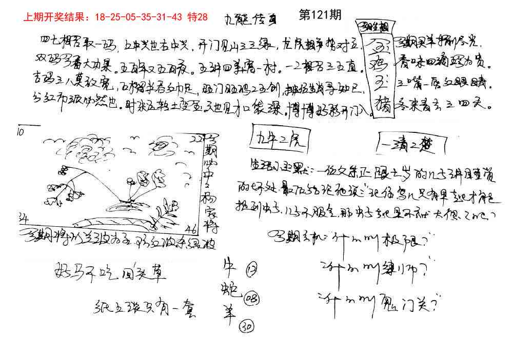121期手写九龙内幕[图]