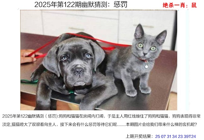 122期幽默猜测[图]