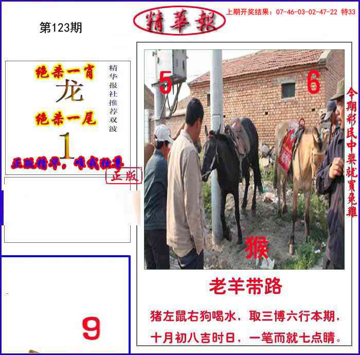 123期新精华报报[图]