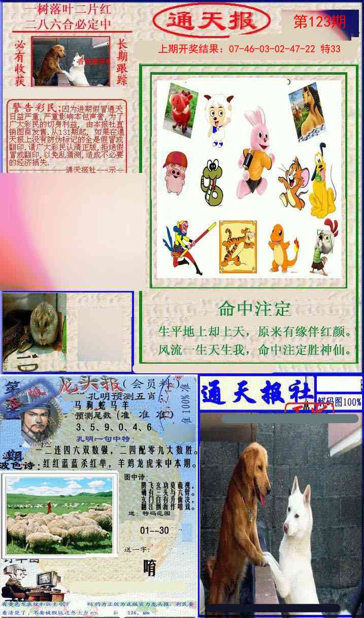 123期实力通天报[图]