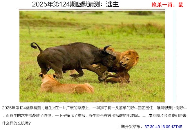 124期幽默猜测[图]