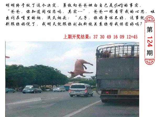 124期澳门生活幽默[图]