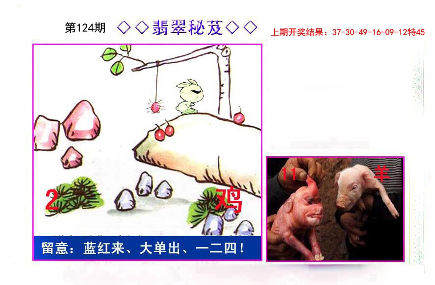 124期翡翠报[图]