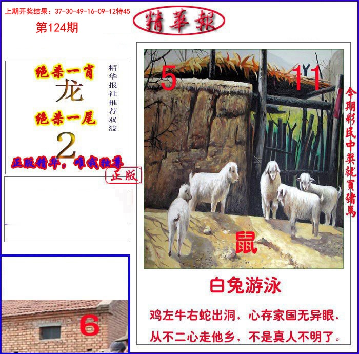 124期新精华报报[图]