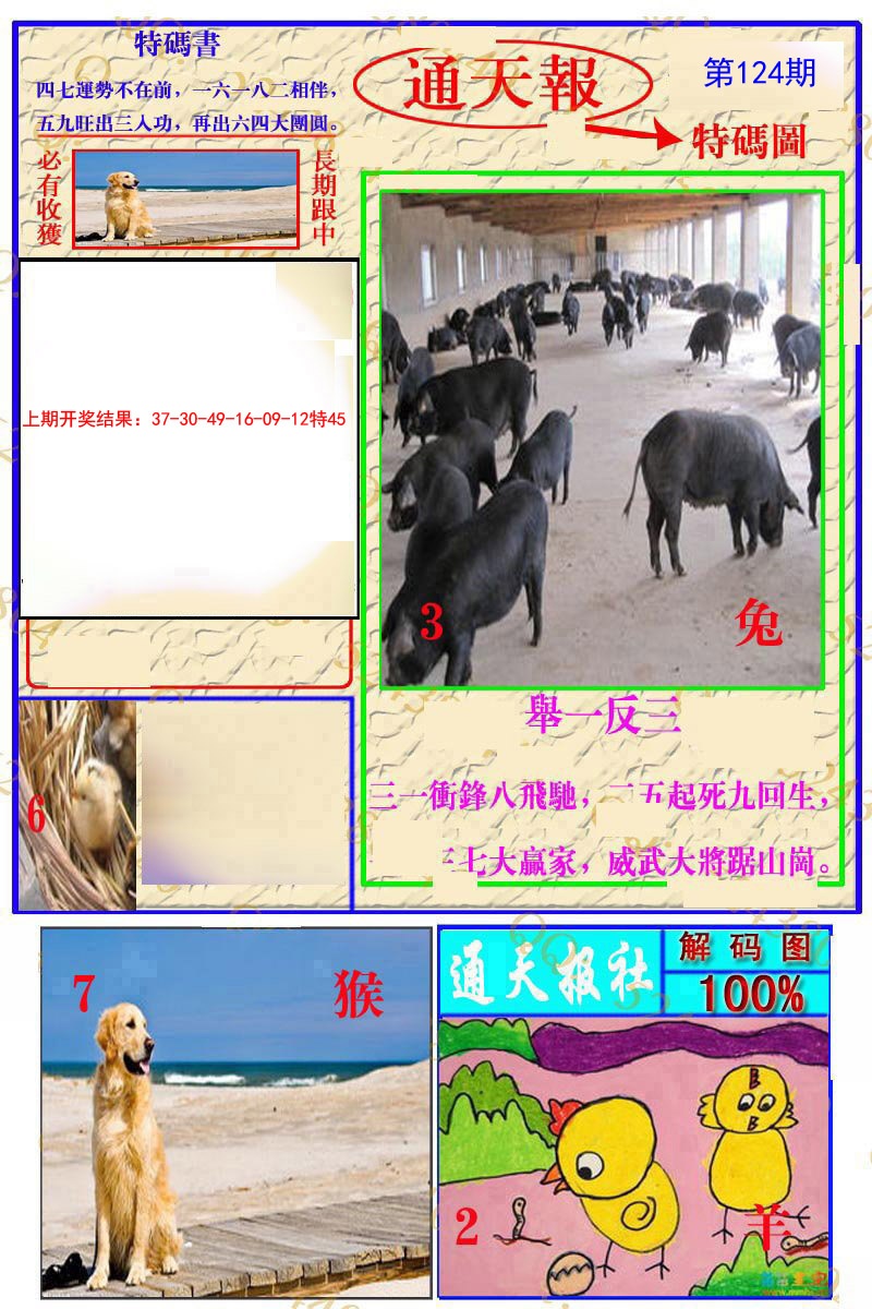 124期通天特解图[图]