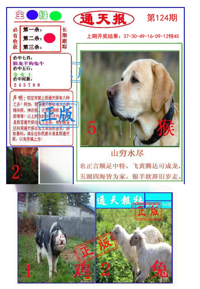 124期通天杀波图1[图]