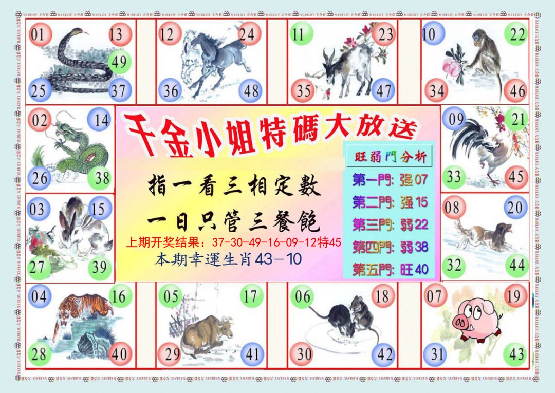 124期千金小姐B版[图]