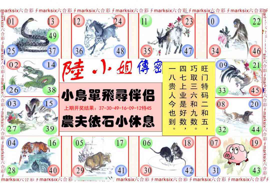 124期陆小姐传密B[图]