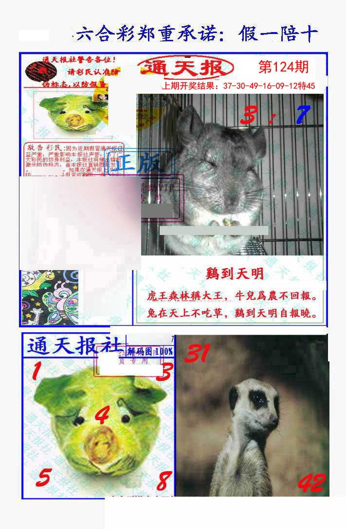 124期假一陪十通天报[图]