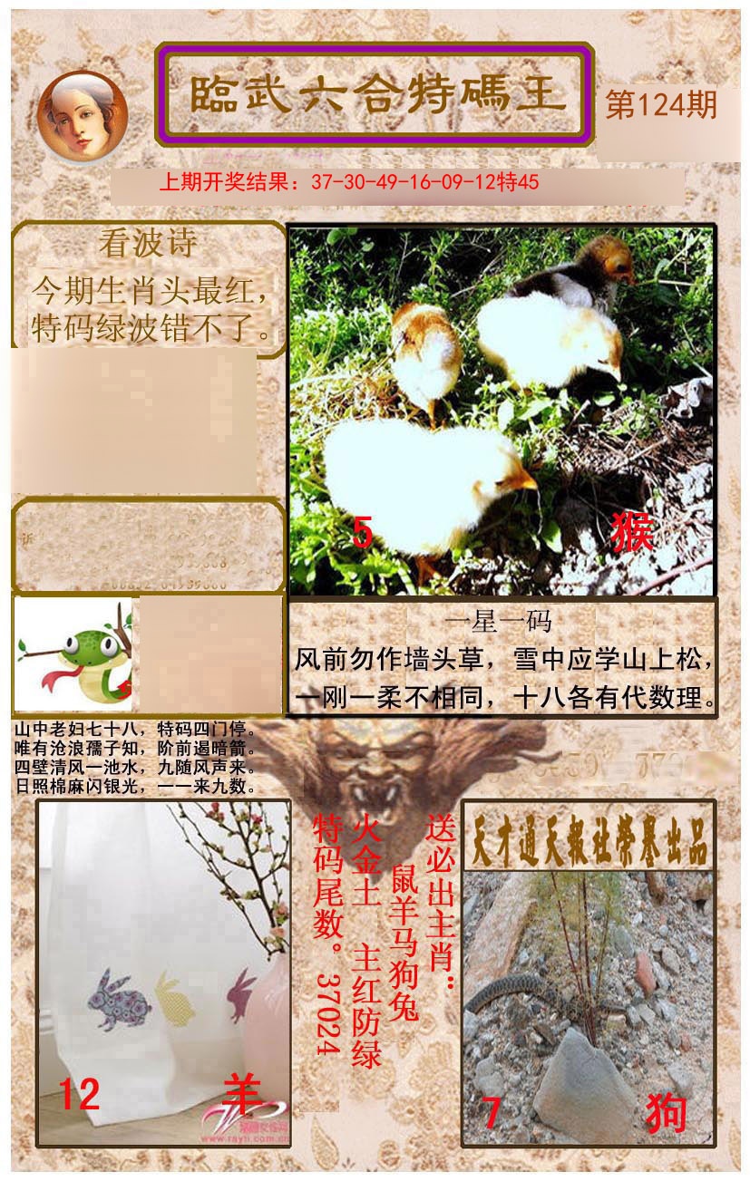 124期临武六合特码王[图]