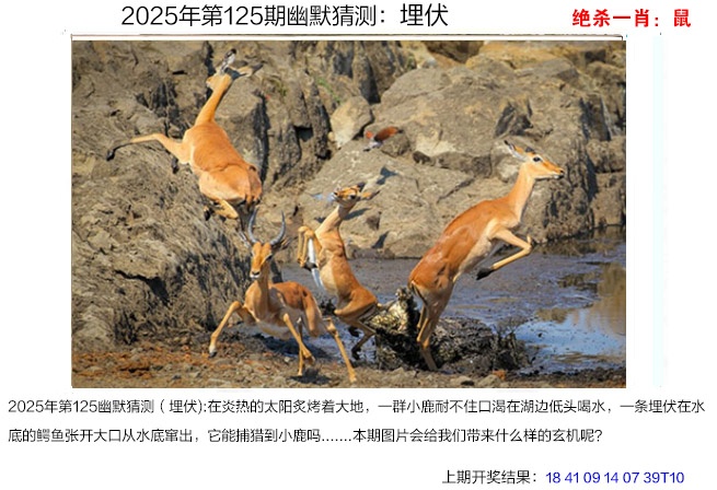 125期幽默猜测[图]