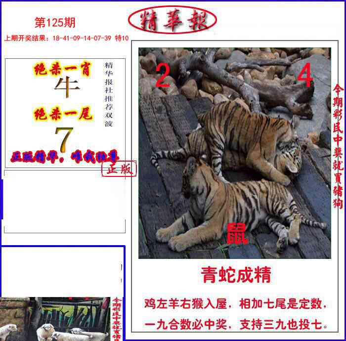 125期新精华报报[图]