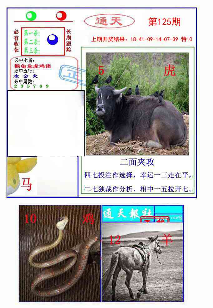 125期通天杀波图2[图]