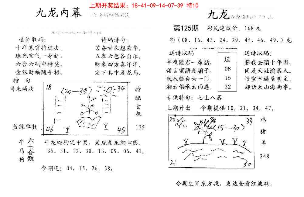 125期九龙内幕[图]