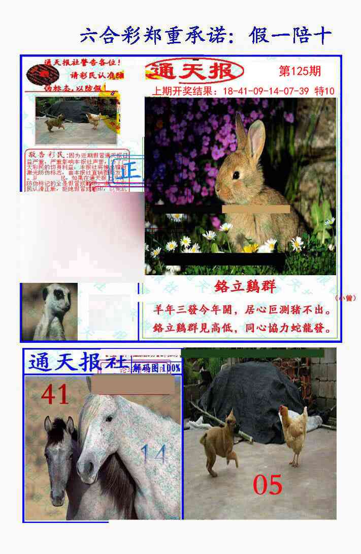 125期假一陪十通天报[图]