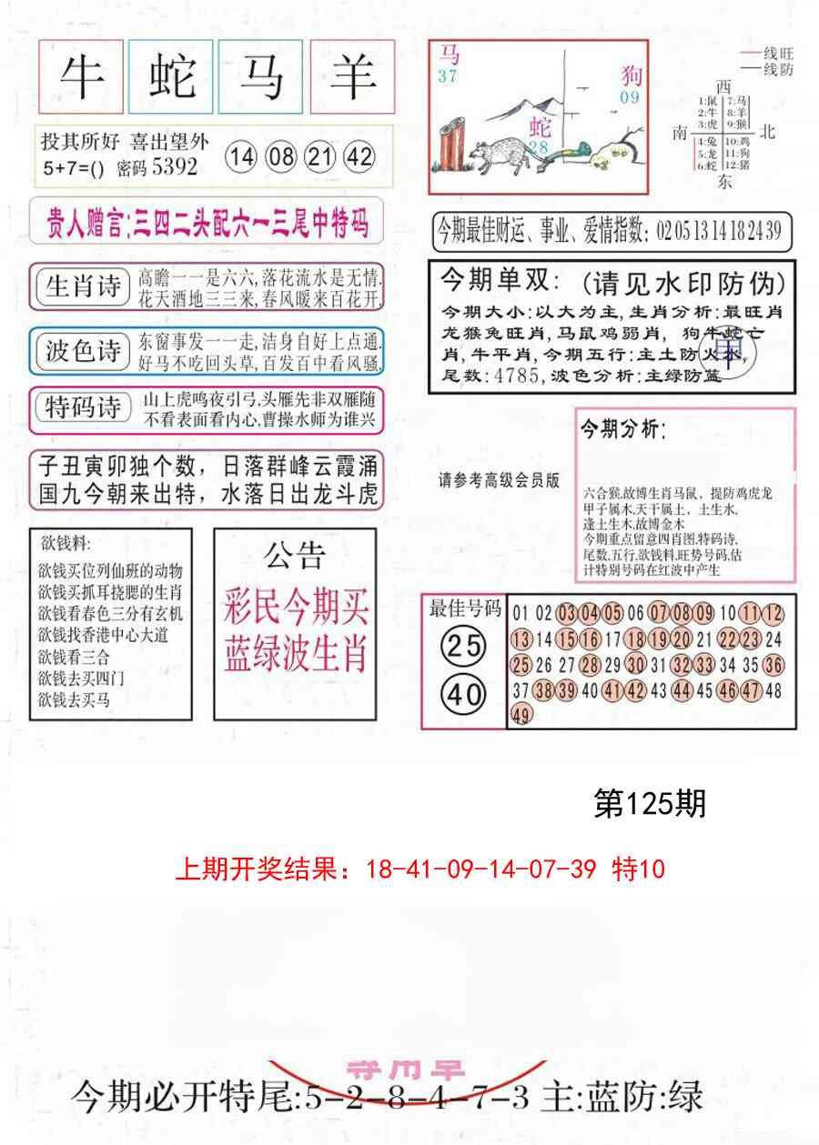 125期凤凰闲情A[图]