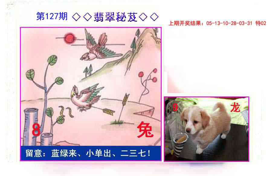 127期翡翠报[图]