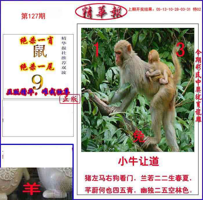 127期新精华报报[图]