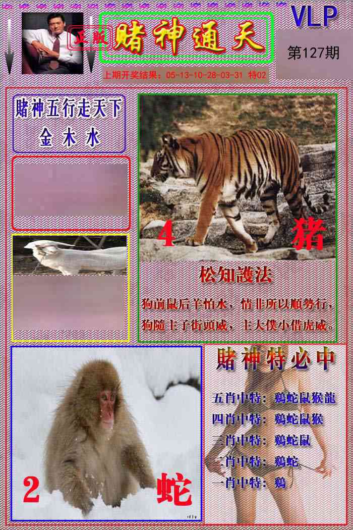 127期赌神通天报[图]
