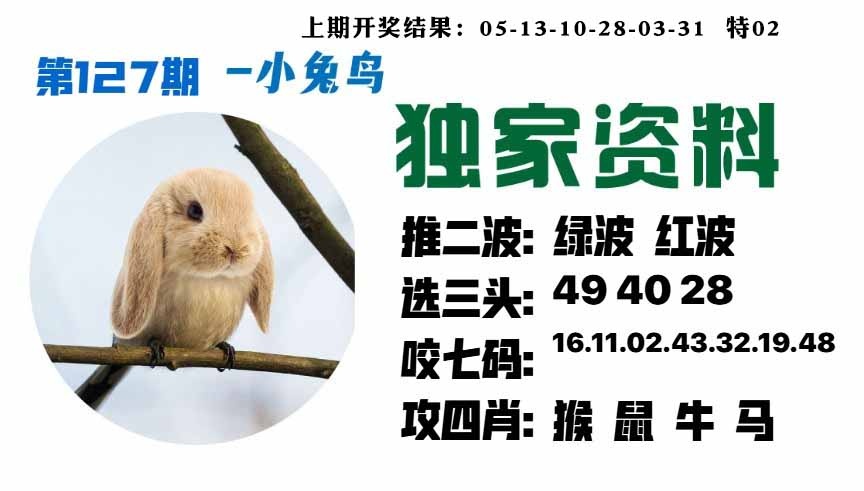 127期小兔鸟[图]