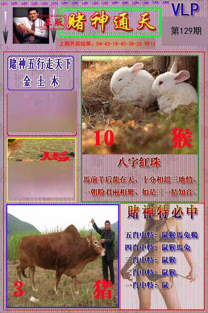 129期赌神通天报[图]