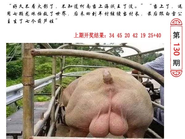 130期澳门生活幽默[图]