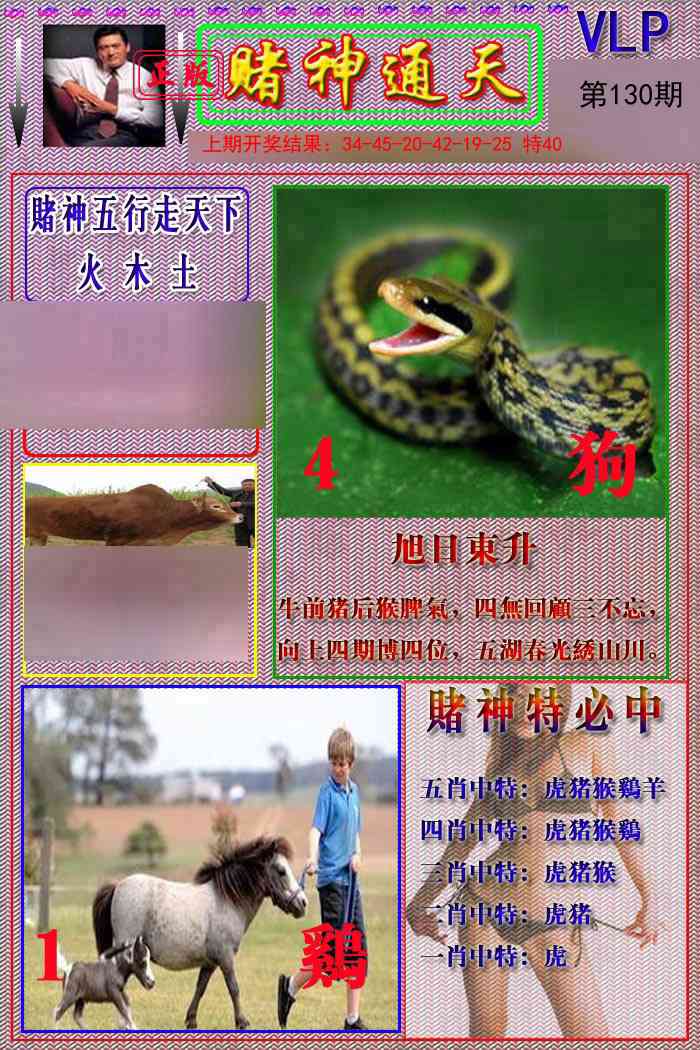 130期赌神通天报[图]