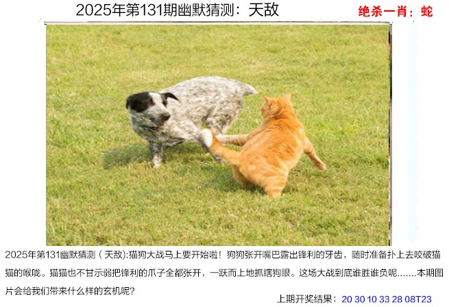 131期幽默猜测[图]