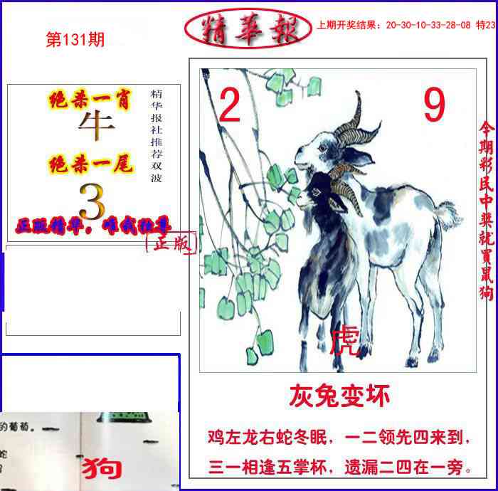 131期新精华报报[图]