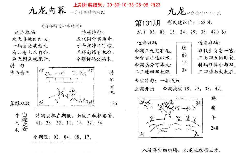 131期九龙内幕[图]