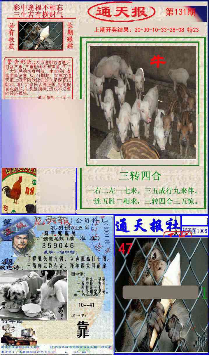 131期实力通天报[图]