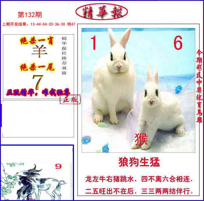 132期新精华报报[图]