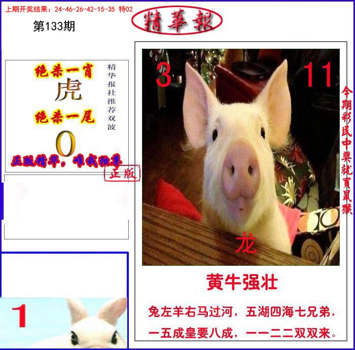 133期新精华报报[图]