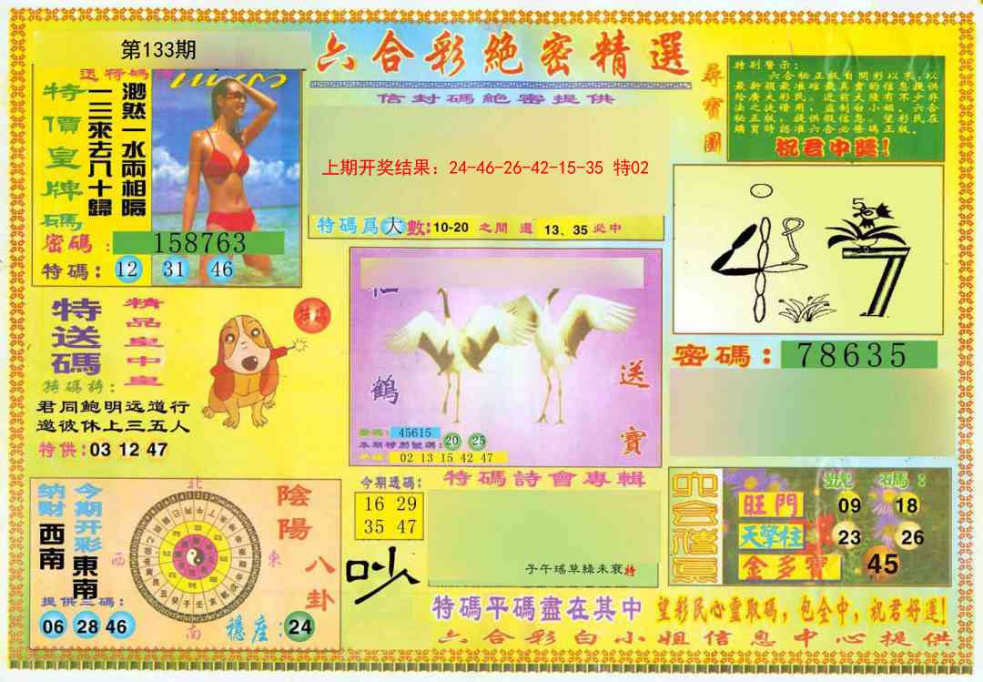 133期绝密精选A[图]